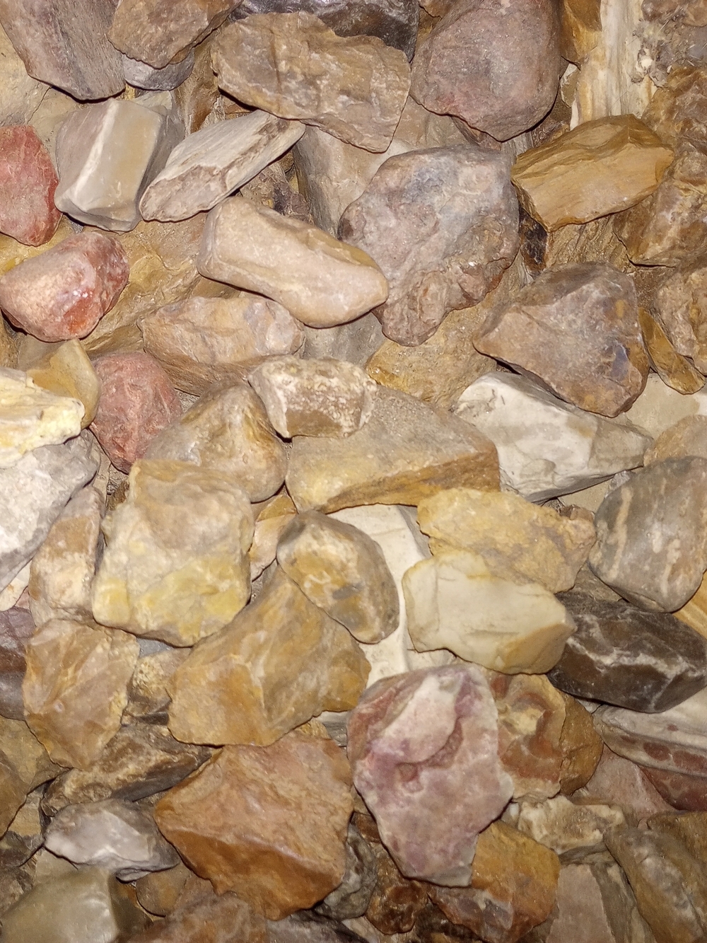 Raw Petrified Wood And Agate 1lb - Picture 8 of 10